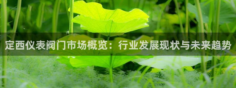 ag九游会官网登