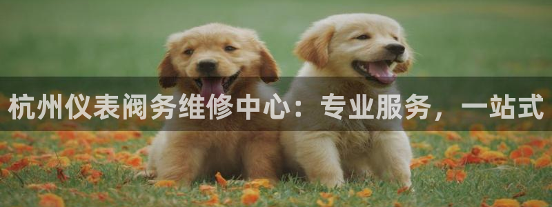 九游会老哥论坛网站