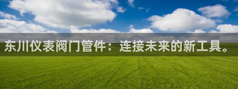 九游会j9提现快吗