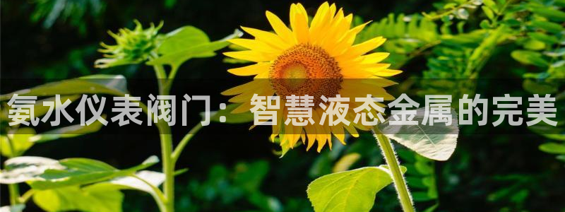 九游会体育官方网站
