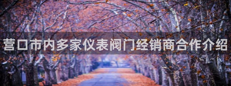 九游会国际站