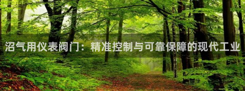 九游会a g