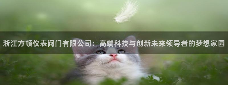 a九游会