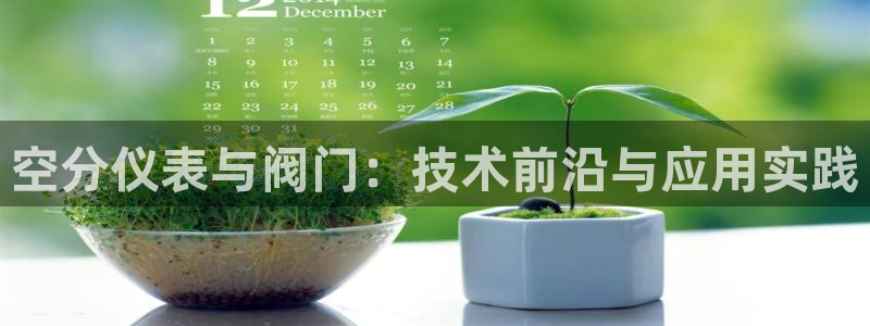 九游会AG8官网