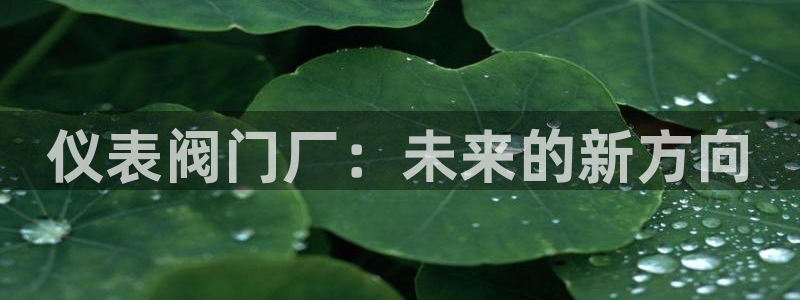 九游会ag亚