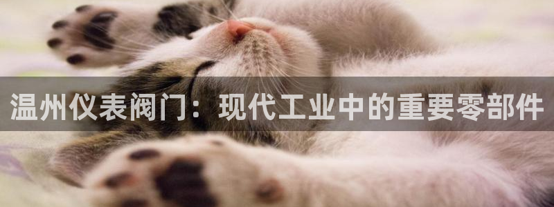 泰国九游会