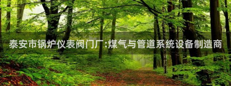 九游会官方正版下载安装