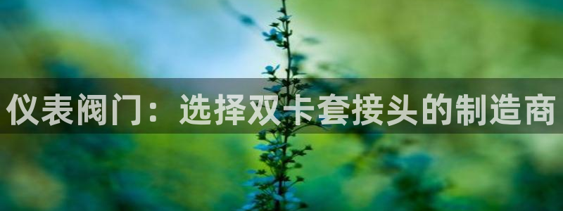 j9九游会国际版