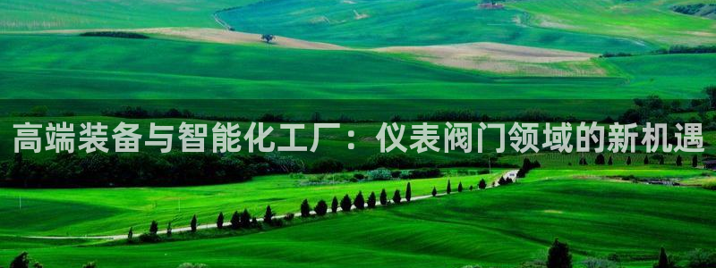 九游会ag尊龙