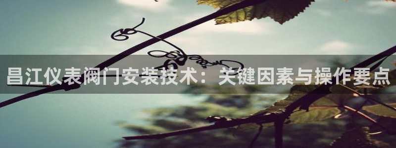 AG九游会www