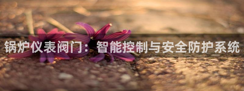 九游会官网入口在哪找