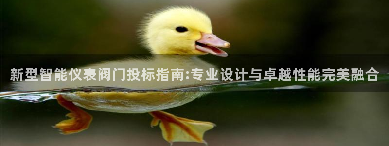 亚博九游会ku游
