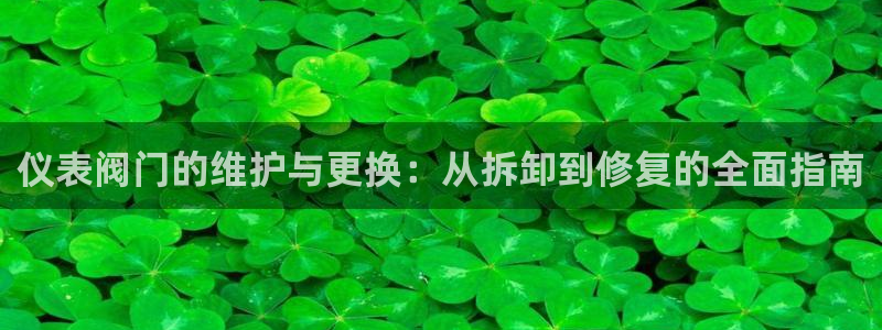 j9九游会app