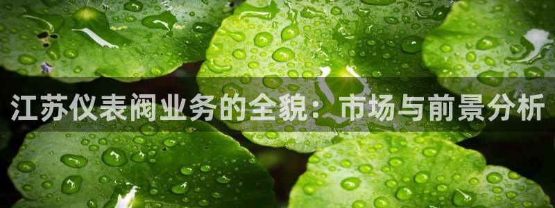 九游会手机官网