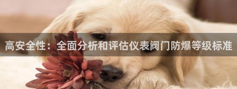 九游会平台入口