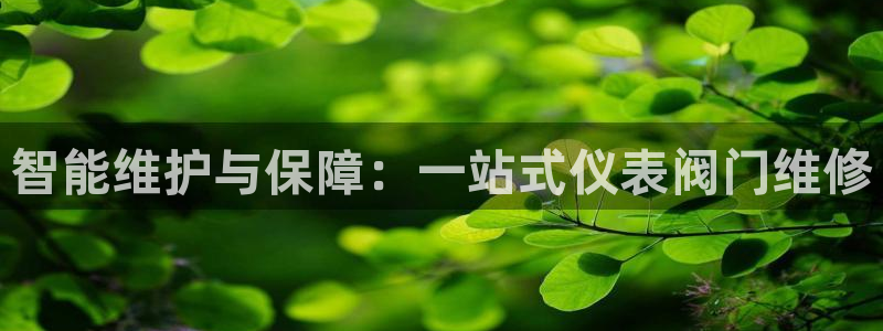 亚游和九游会