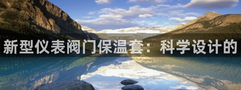 园游会小九