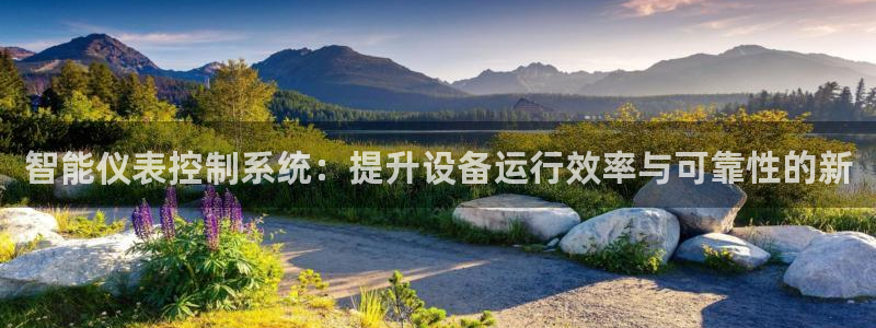 j9九游会官网