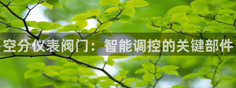 币游九游会