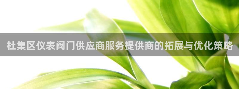 九游会怎么登