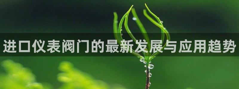 亚游和九游会