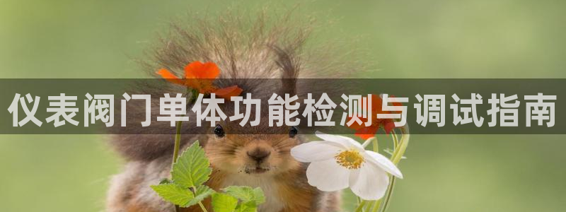 旧版九游会入口