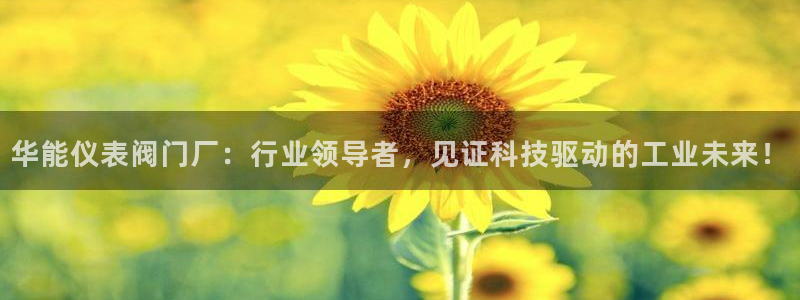 九游会手机网址