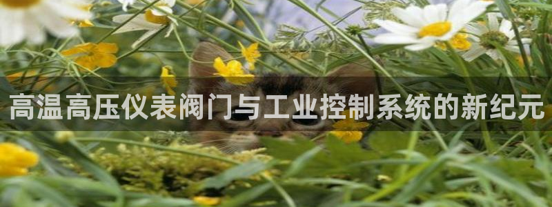 九游会贷款