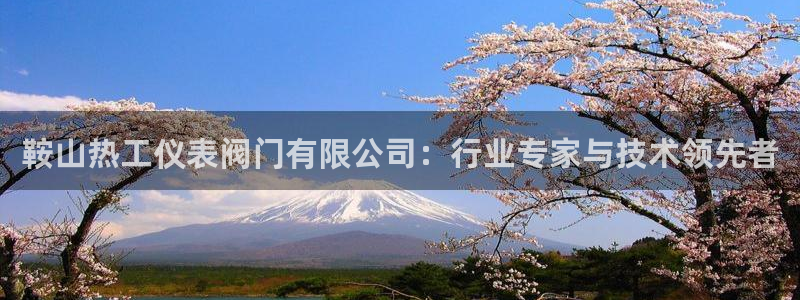 九游会ag 只为非凡