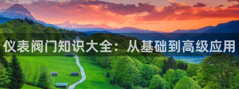 九游会代理政策