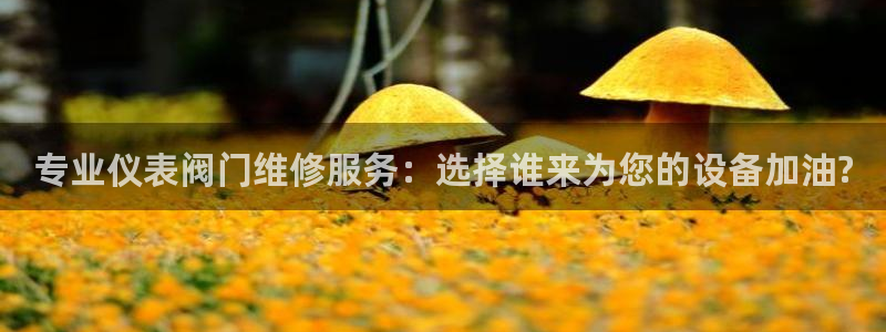 九游会b