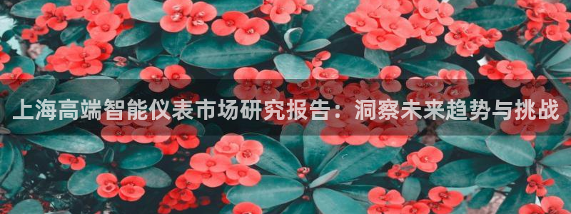 九游会亚游ag