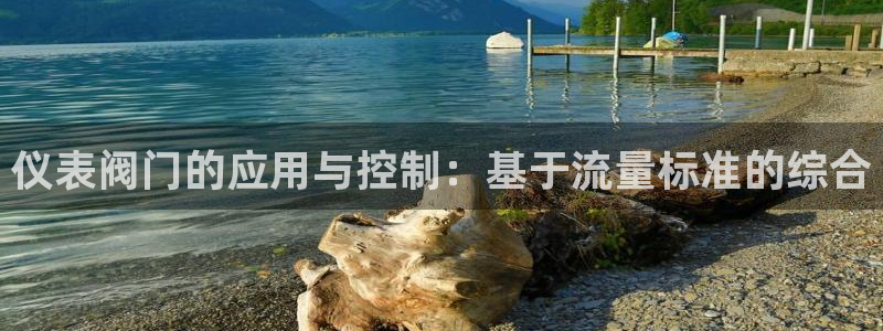 九游会ag正版app
