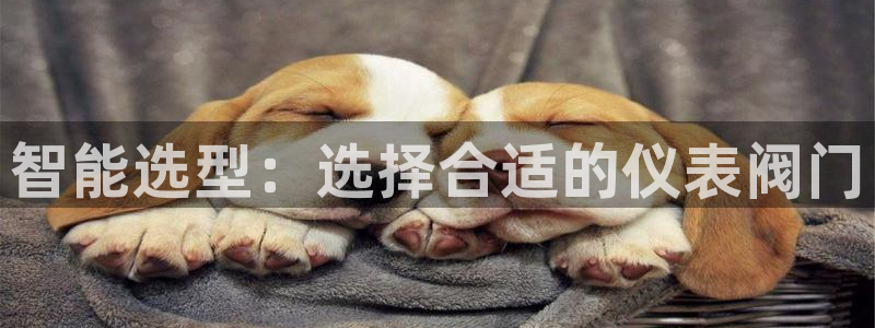 九游游乐会