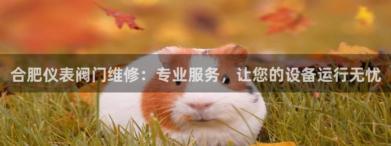 九游会老哥交流