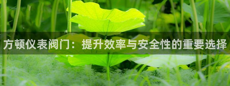 尊龙和九游会哪个好