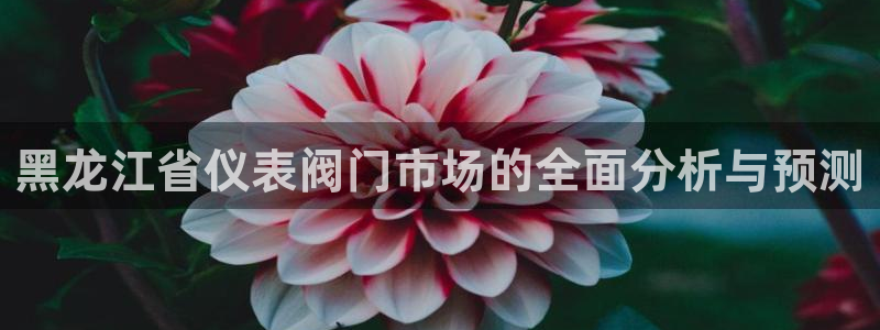 九游会这这个网站怎么样