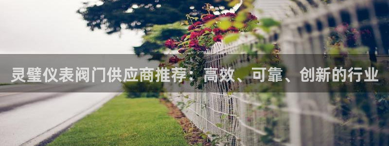 九游会官网入口在哪里
