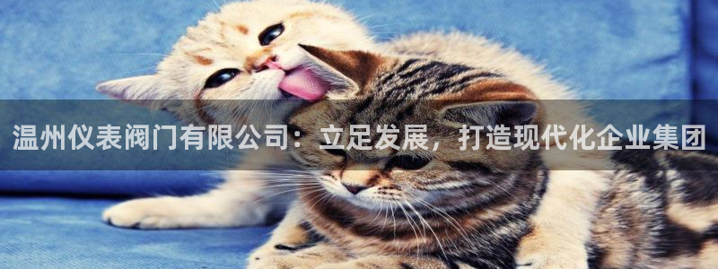 九游会官方网
