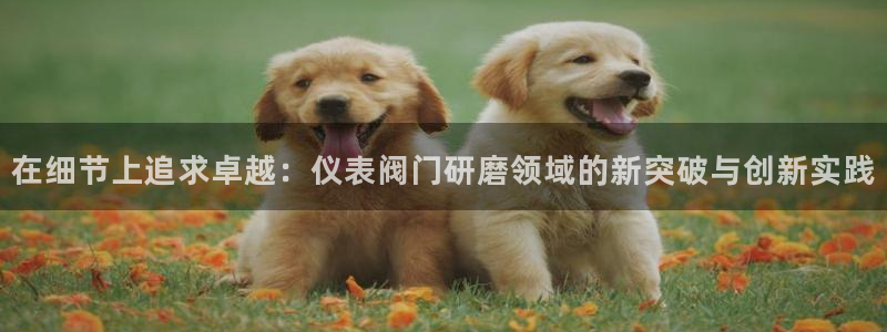 九游会 官网ag