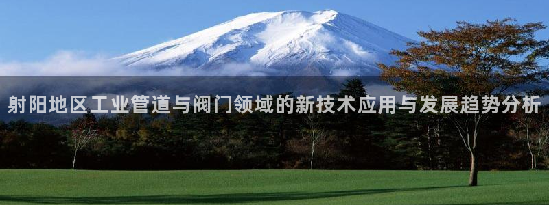 j9九游会app