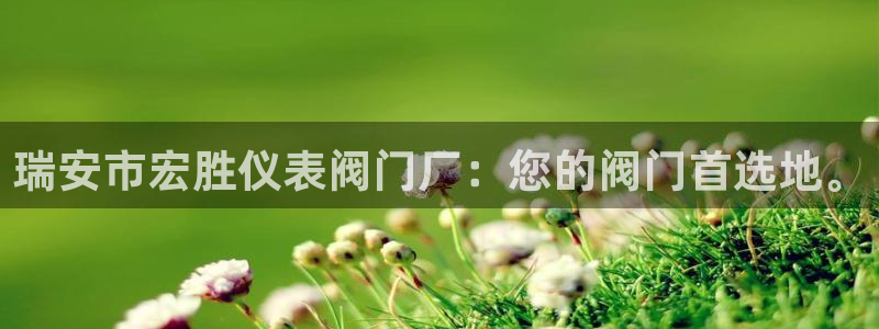 九游会网页游戏