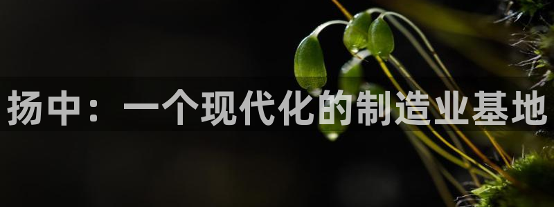 九游会国际