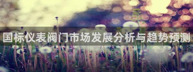 九游会公司介绍