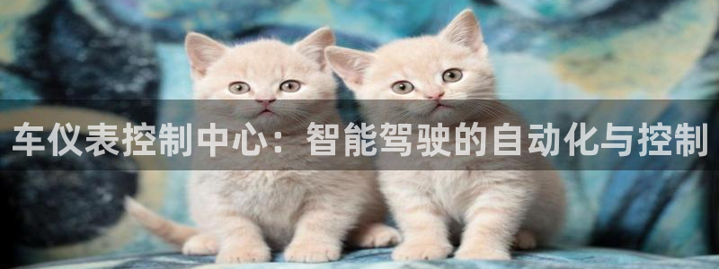 九游会电竞竞猜