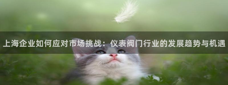 河曲九曲黄河灯游会作文