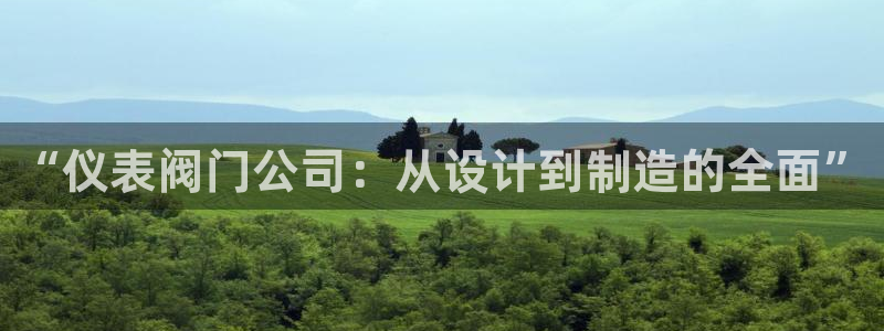 九游会啊