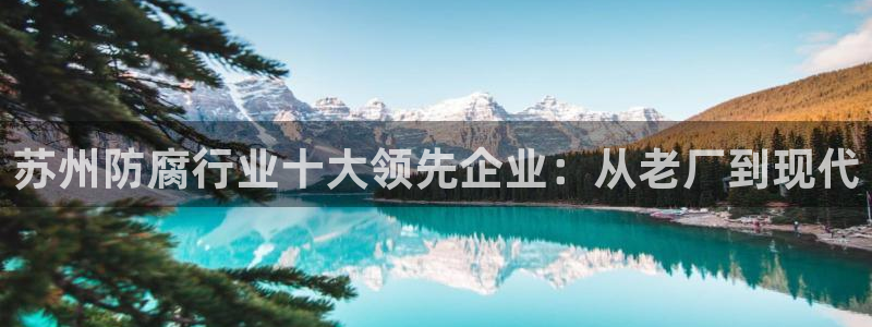 九游会链接
