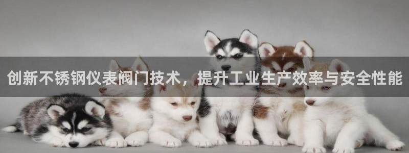 九游会国际 www