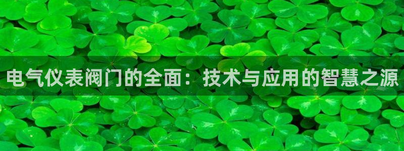 九游光遇会